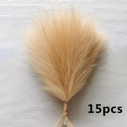 Pampas Grass Bouquet (15 pcs)