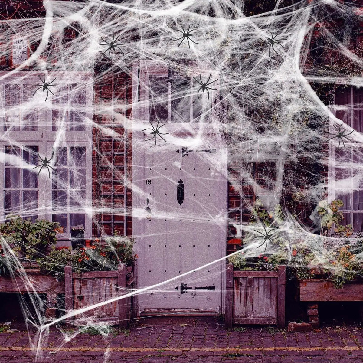 Outdoor Spider Web Decoration