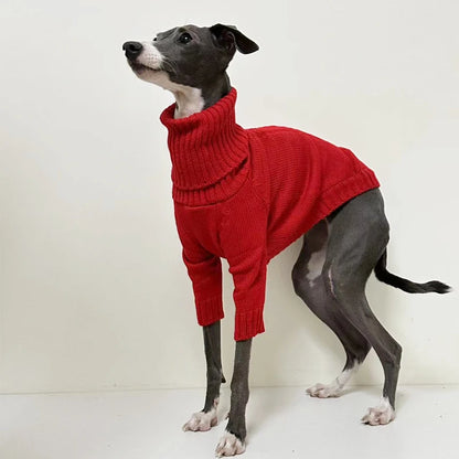 Italian Greyhound Turtleneck