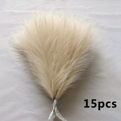 Pampas Grass Bouquet (15 pcs)