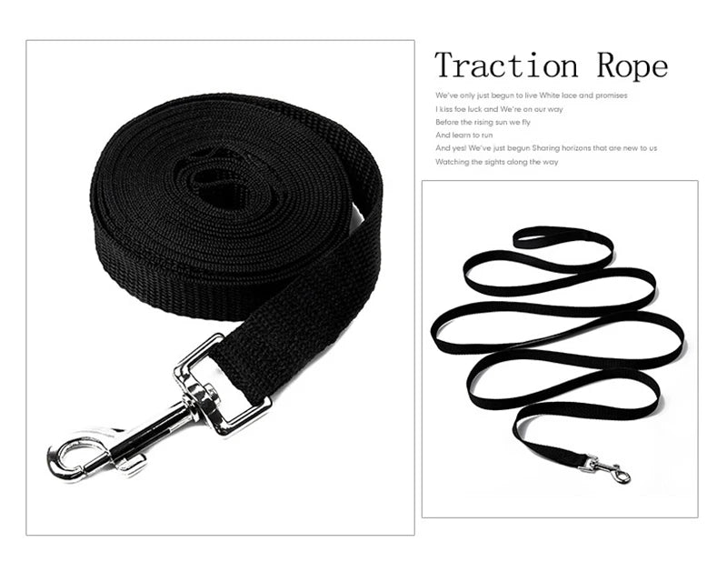 Long Outdoor Training Dog Leash for Small & Large Dogs