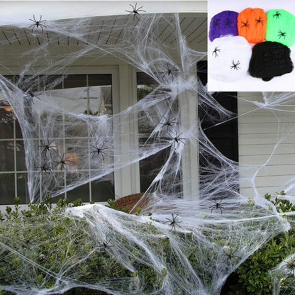 Outdoor Spider Web Decoration