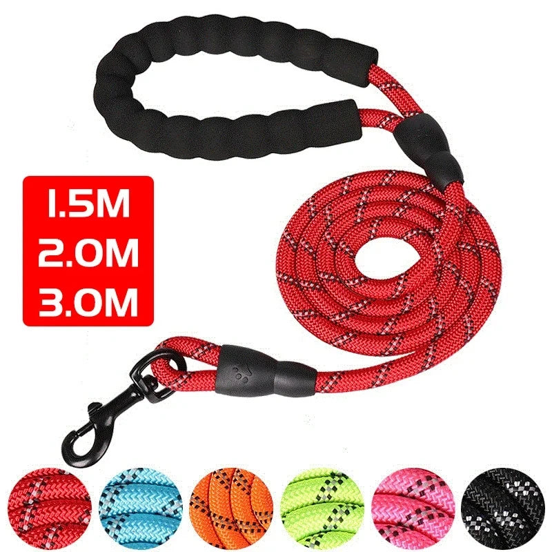 Reflective Dog Leash Padded Handle Strong Dual-Traction Rope