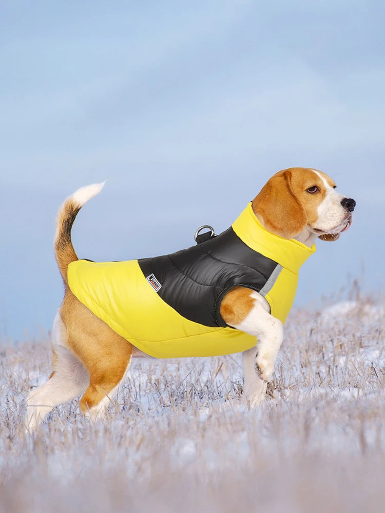 Waterproof Winter Dog Jacket Warm Vest for All Sizes