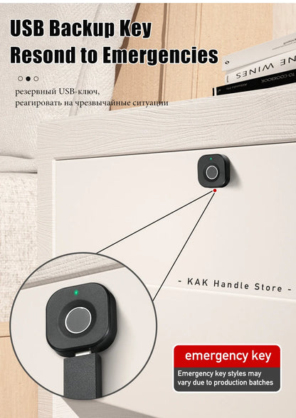 KAK Biometric Fingerprint Cabinet Lock Anti-Theft