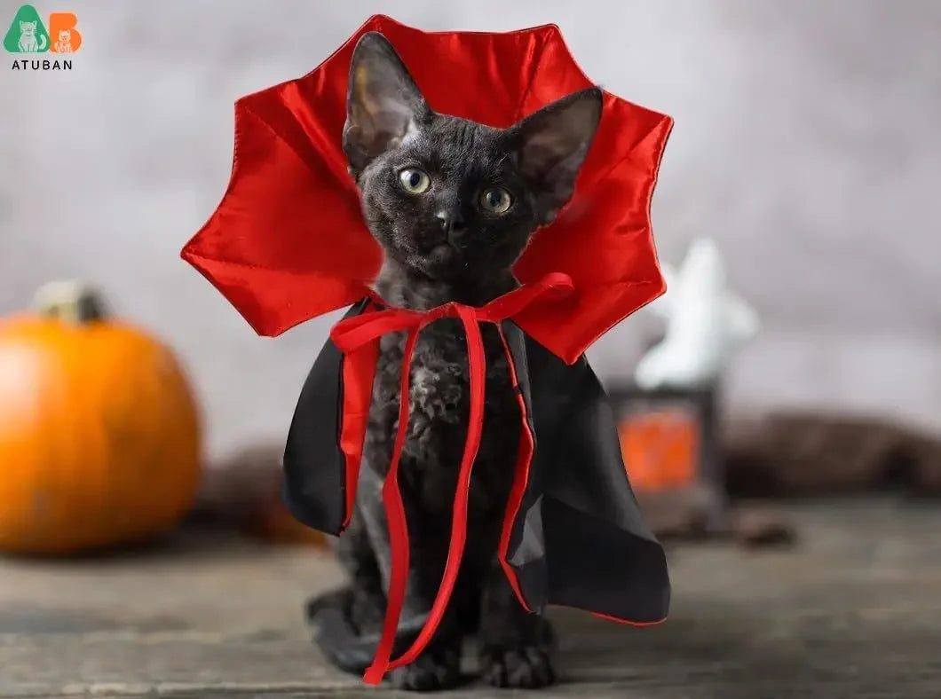 Halloween Cat Vampire Cloak Adjustable Pet Cape Outfit