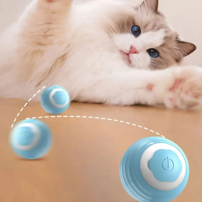 USB Charging Electric Cat Toy Smart Rolling Spin Ball