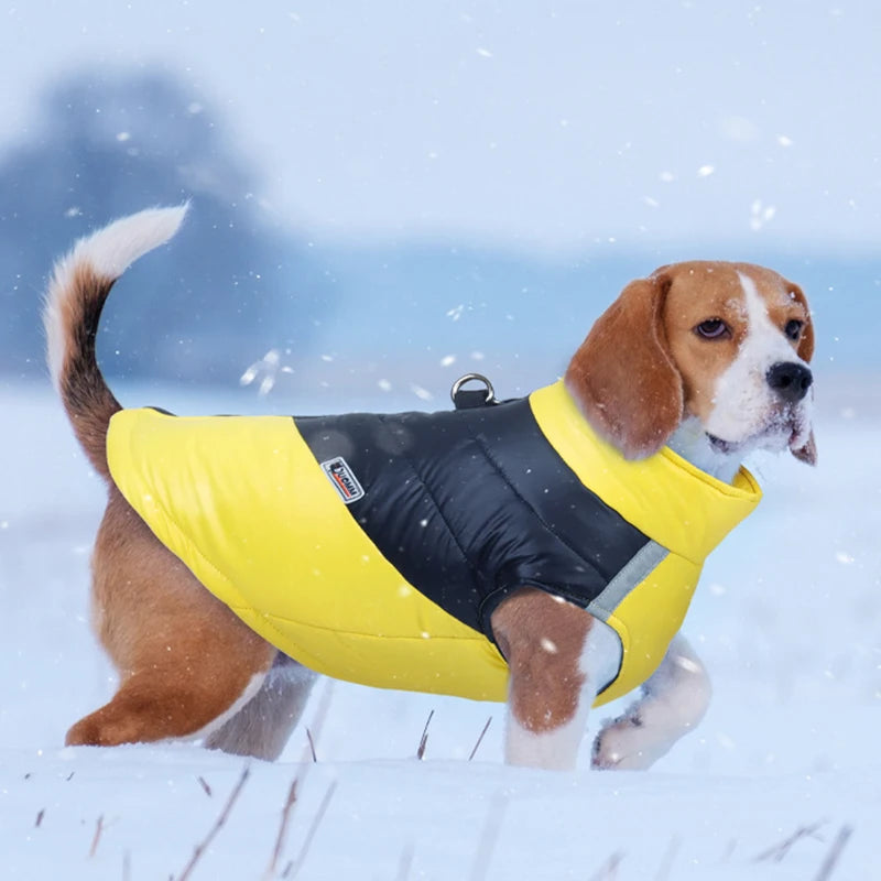 Waterproof Winter Dog Jacket Warm Vest for All Sizes