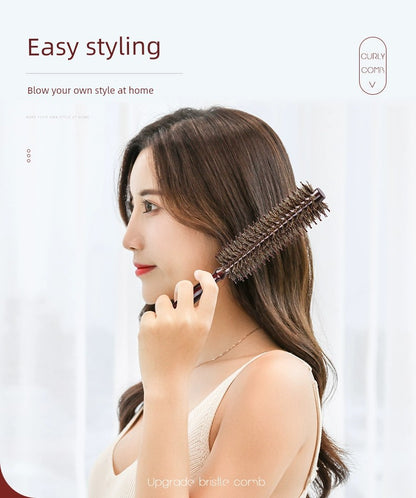 Bristle Cylinder Hair Salon Professional Comb Styling