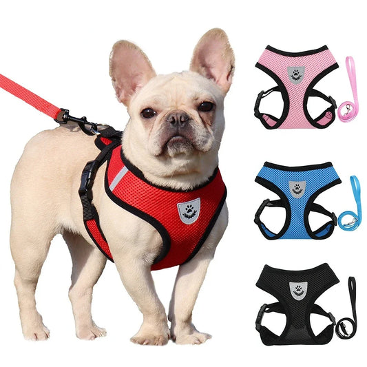 Summer Mesh Harness & Leash Set for Small Dog Cat