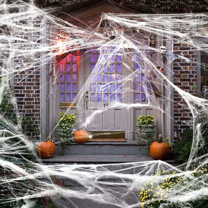 Outdoor Spider Web Decoration