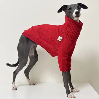 Italian Greyhound Turtleneck