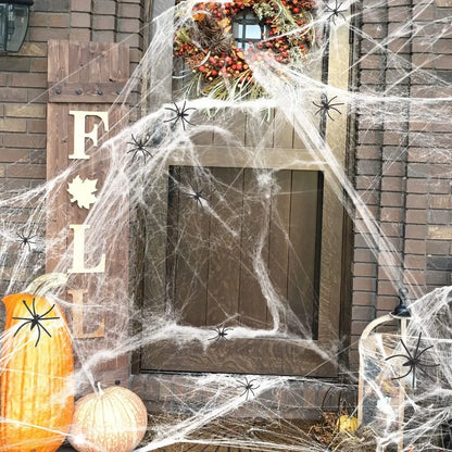 Outdoor Spider Web Decoration