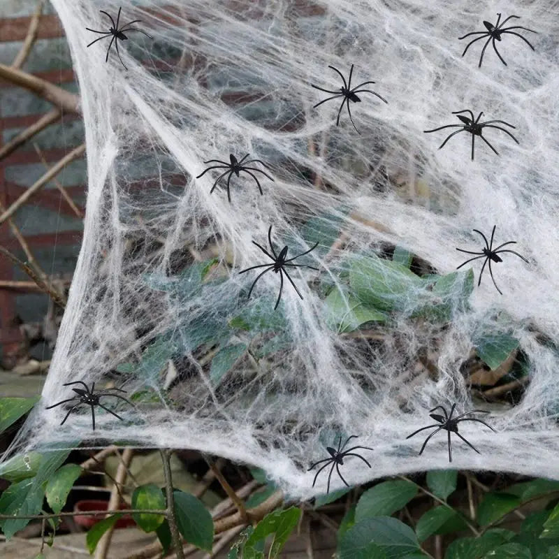 Outdoor Spider Web Decoration