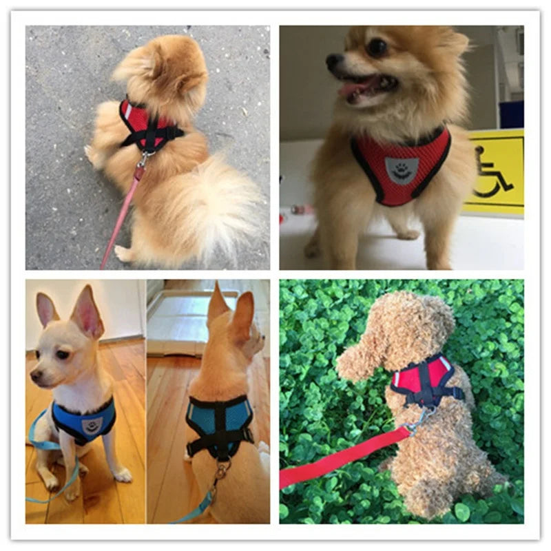 Adjustable Mesh Pet Harness & Leash Reflective Breathable