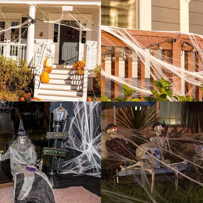 Outdoor Spider Web Decoration